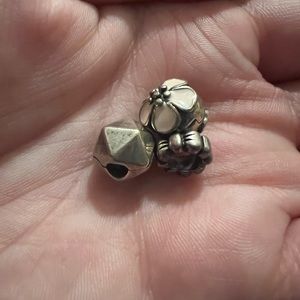 Pandora Charm BUNDLE
